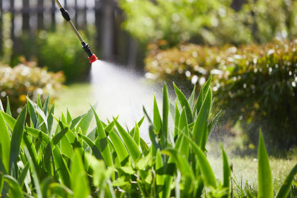 Tamper-Resistant Bait Stations for Rodents in Decatur