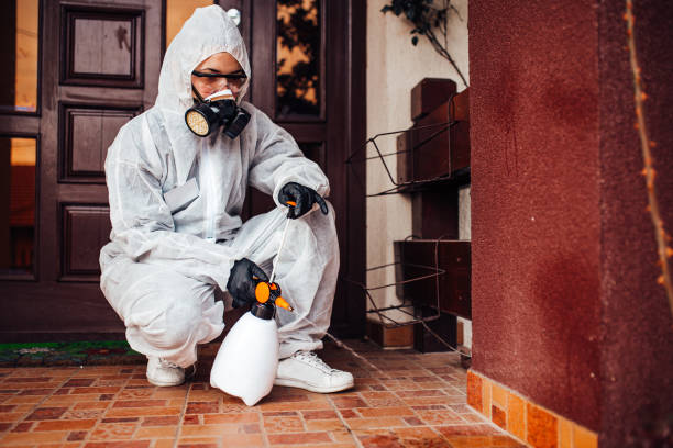 Attic and Crawl Space Rodent Treatment in Decatur